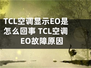 TCL空调显示EO是怎么回事 TCL空调EO故障原因