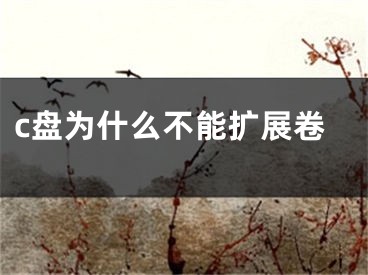 c盘为什么不能扩展卷