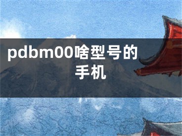 pdbm00啥型号的手机