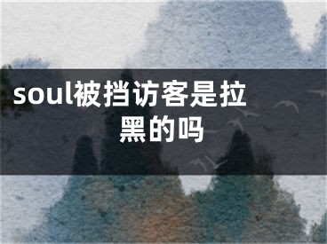 soul被挡访客是拉黑的吗