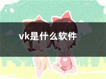 vk是什么软件