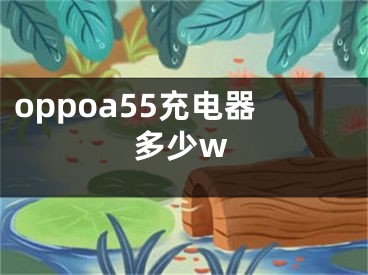 oppoa55充电器多少w