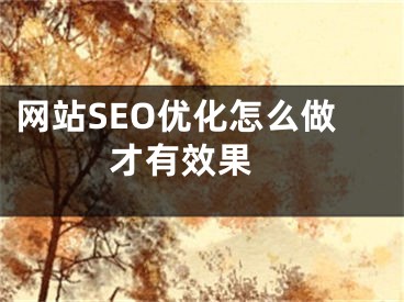 网站SEO优化怎么做才有效果 