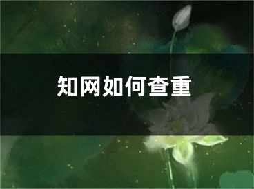 知网如何查重