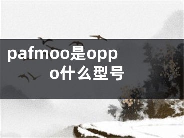 pafmoo是oppo什么型号