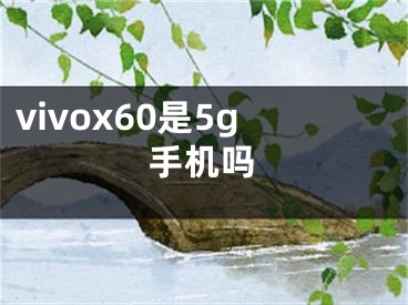 vivox60是5g手机吗
