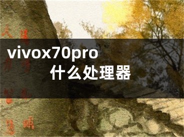 vivox70pro什么处理器