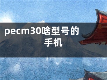 pecm30啥型号的手机