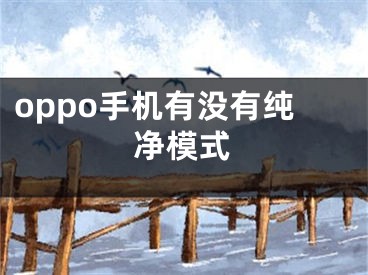 oppo手机有没有纯净模式