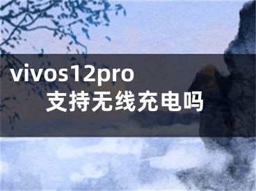 vivos12pro支持无线充电吗