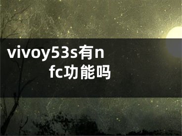 vivoy53s有nfc功能吗