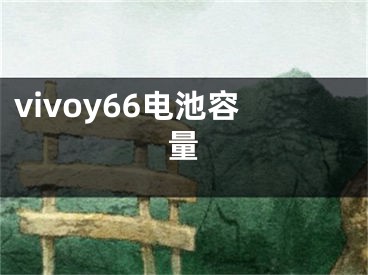 vivoy66电池容量