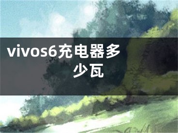 vivos6充电器多少瓦