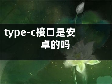 type-c接口是安卓的吗