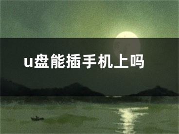 u盘能插手机上吗