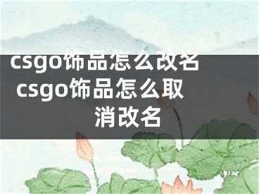 csgo饰品怎么改名 csgo饰品怎么取消改名