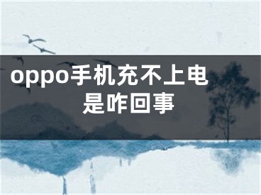 oppo手机充不上电是咋回事