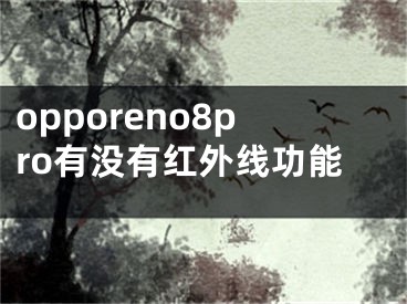 opporeno8pro有没有红外线功能