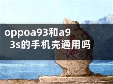 oppoa93和a93s的手机壳通用吗