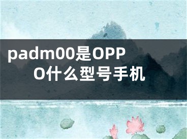 padm00是OPPO什么型号手机