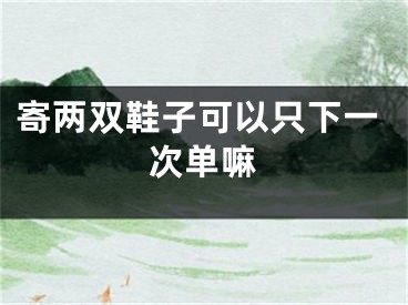 寄两双鞋子可以只下一次单嘛