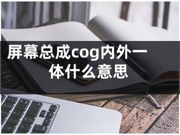 屏幕总成cog内外一体什么意思