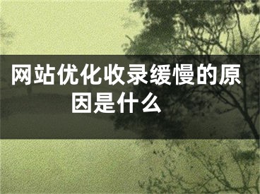 网站优化收录缓慢的原因是什么 