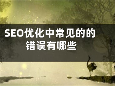 SEO优化中常见的的错误有哪些 