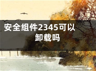 安全组件2345可以卸载吗