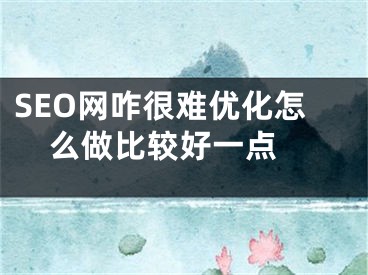 SEO网咋很难优化怎么做比较好一点 