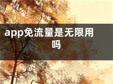 app免流量是无限用吗