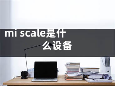 mi scale是什么设备