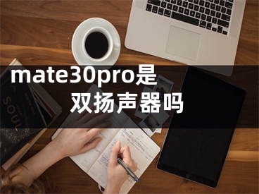 mate30pro是双扬声器吗