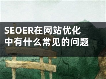 SEOER在网站优化中有什么常见的问题 