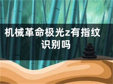 机械革命极光z有指纹识别吗