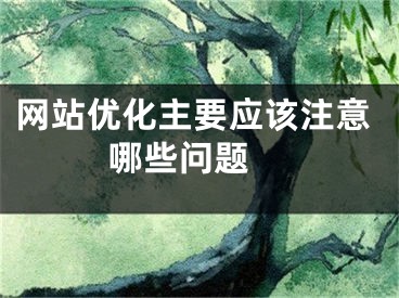 网站优化主要应该注意哪些问题 