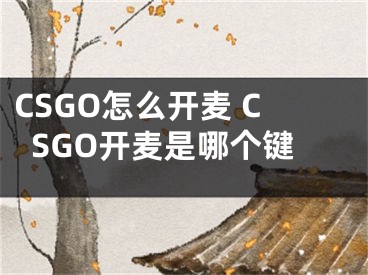 CSGO怎么开麦 CSGO开麦是哪个键