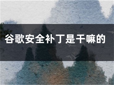 谷歌安全补丁是干嘛的