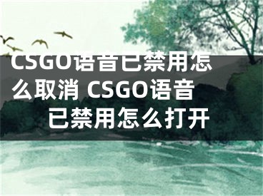 CSGO语音已禁用怎么取消 CSGO语音已禁用怎么打开