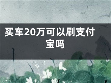 买车20万可以刷支付宝吗