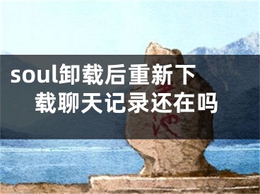 soul卸载后重新下载聊天记录还在吗