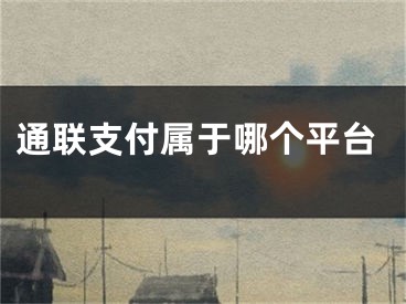 通联支付属于哪个平台