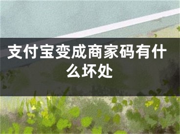 支付宝变成商家码有什么坏处