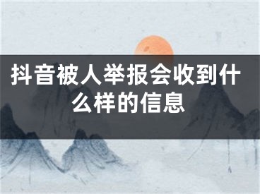 抖音被人举报会收到什么样的信息