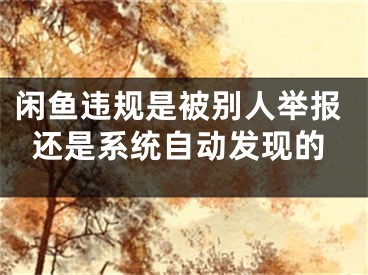 闲鱼违规是被别人举报还是系统自动发现的