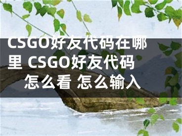 CSGO好友代码在哪里 CSGO好友代码怎么看 怎么输入