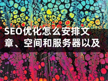 SEO优化怎么安排文章、空间和服务器以及