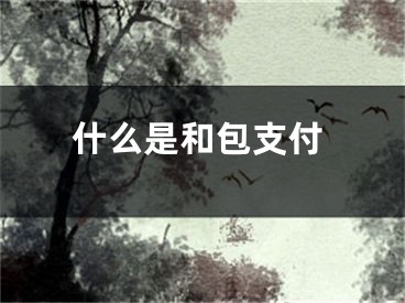 什么是和包支付