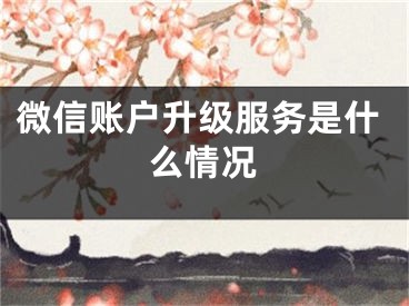 微信账户升级服务是什么情况