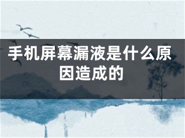 手机屏幕漏液是什么原因造成的